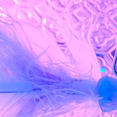 🔆SuN . XTethered2ThisX -