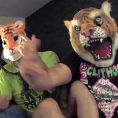 Tiger Fregna - Sburoaround