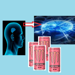 A Gamer Never Showed Up For PABAT. This Is What Happened To His Brain.