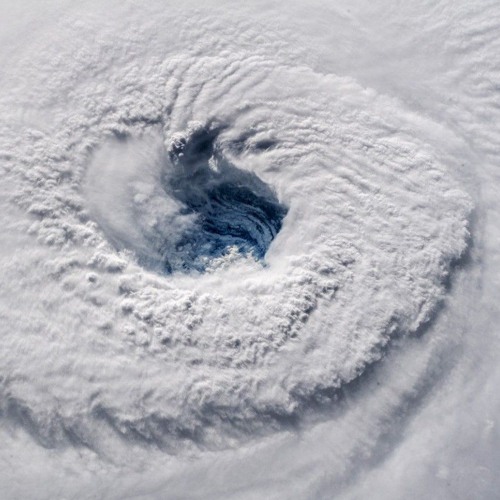 "وَلَا تُجَادِلُوا أَهْلَ الْكِتَابِ إِلَّا بِالَّتِي هِيَ أَحْسَنُ"| الشيخ.أشرف..🍃