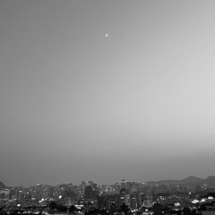 유영(독백)