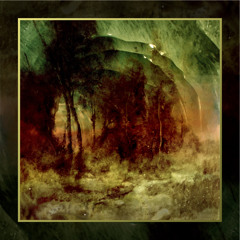 In The Reflection Of