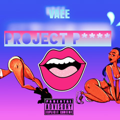 VAEE-Project P****