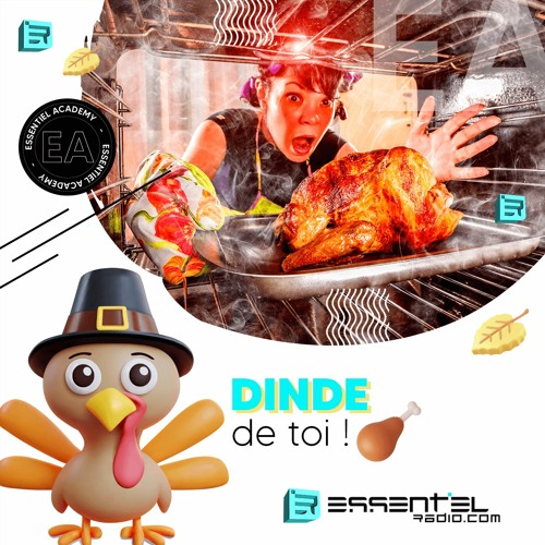 DINDE de toi ! - Podcast 20/11