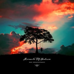 Miracle of Nature | Music Producer: Mohammad Basereh