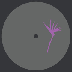 A2. Zenk - Nairobi Market (Ted Amber Remix)