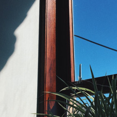 Casimir Pulaski Day Cover