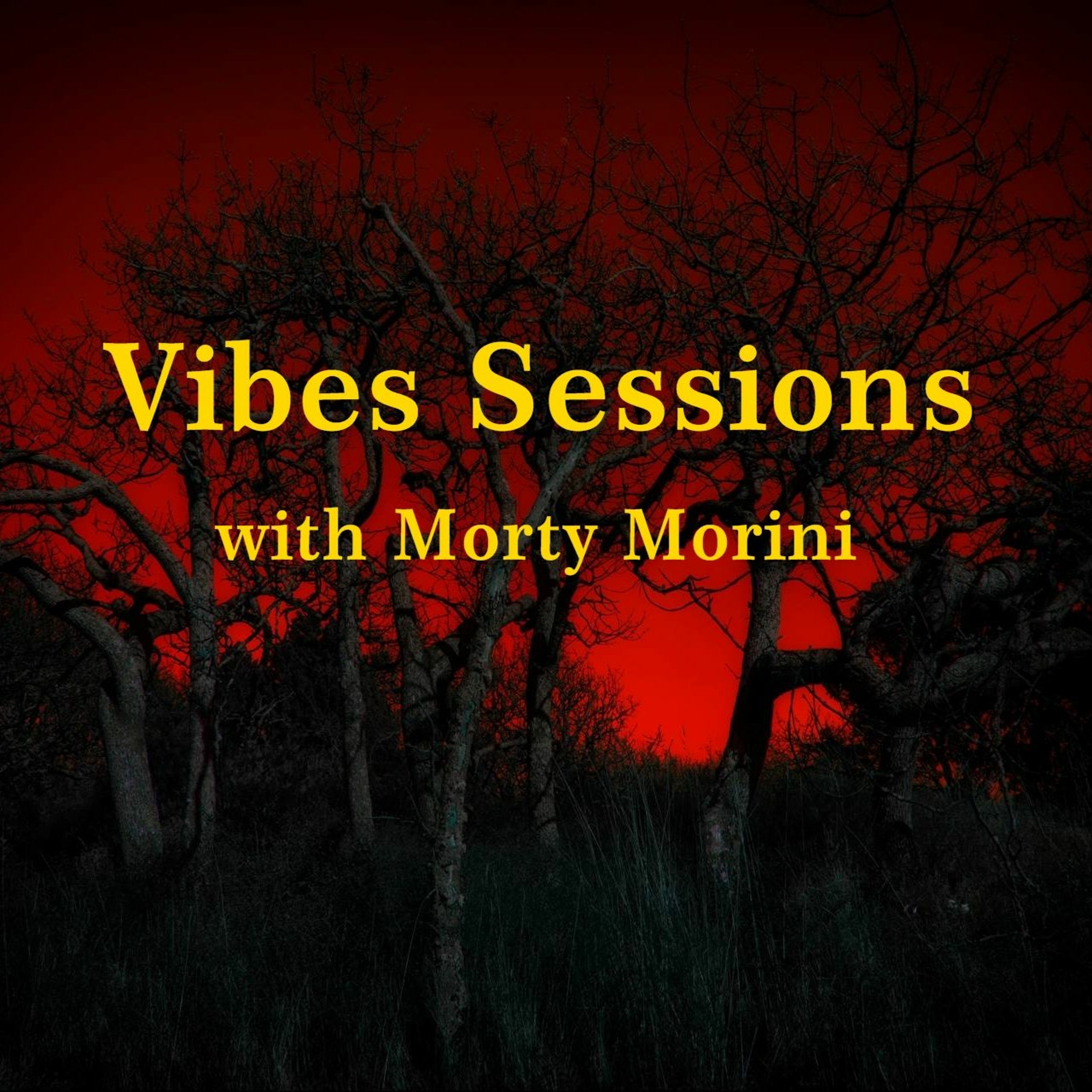 Vibes Radio Station