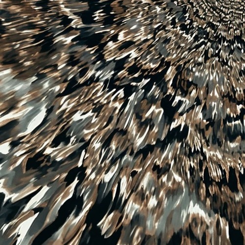 Chaos