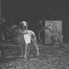 Garage Sale