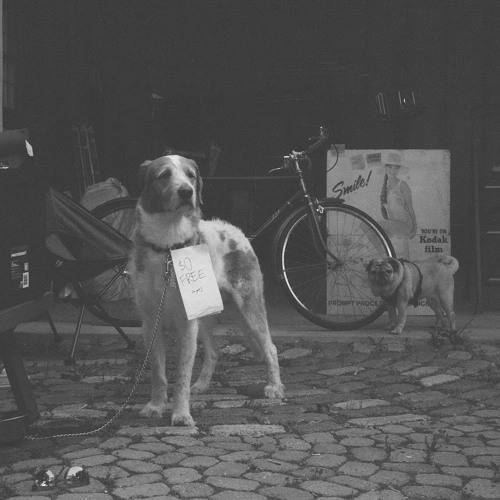 Garage Sale