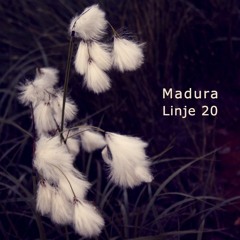 Linje 20