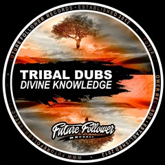 Tribal Dubs - Tidy Like