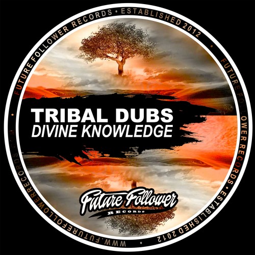 Tribal Dubs - Tidy Like