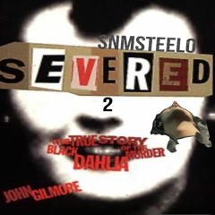SEVERE pt2 (pop)