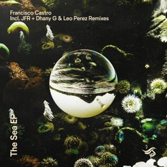 Francisco Castro - Singularity (JFR Remix)