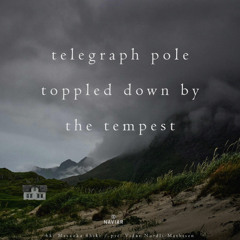 Tempest-(naviarhaiku-566)