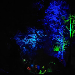 Einfach Taffo - KlangSubsTanz - Openair - 30. August 25