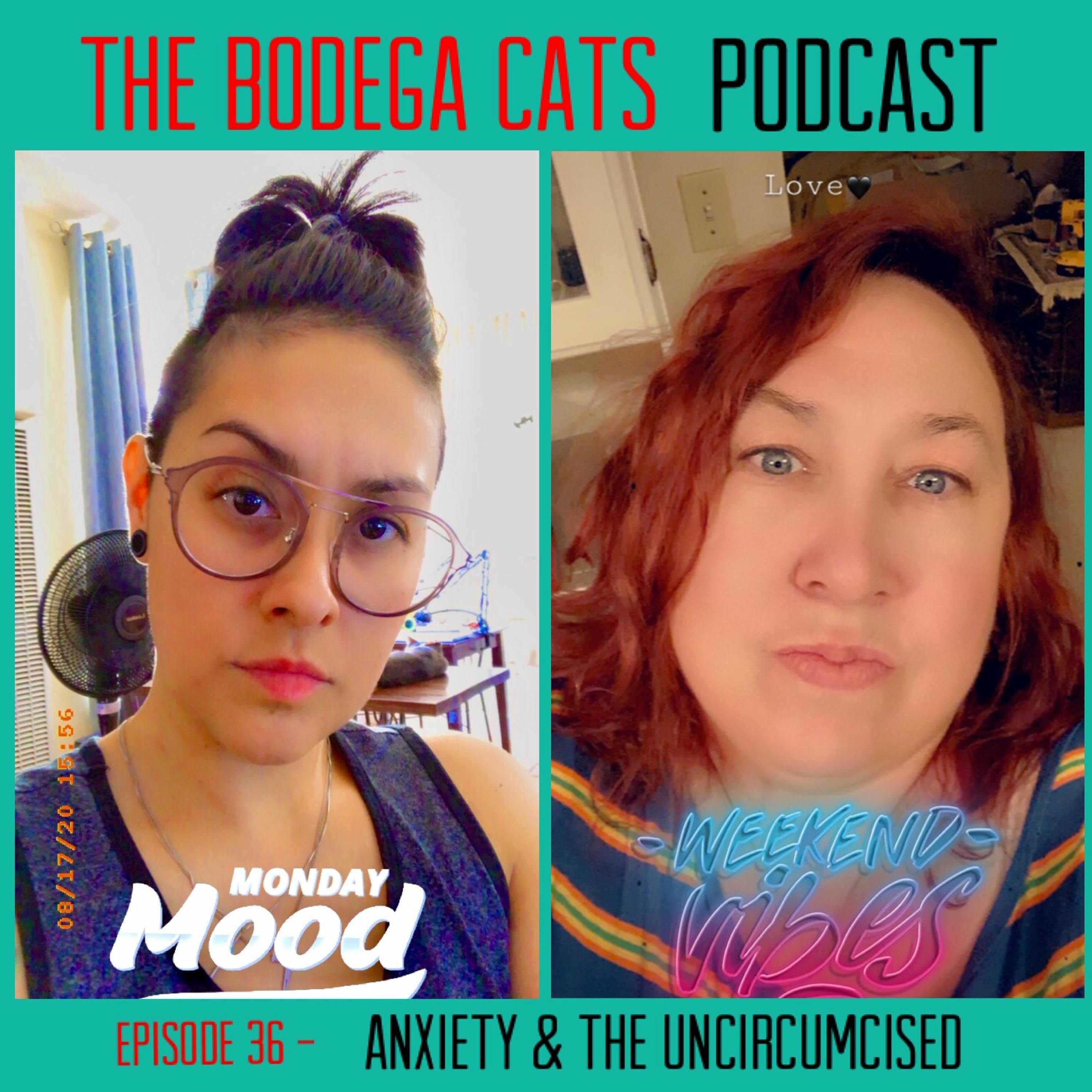The Bodega Cats Podcast