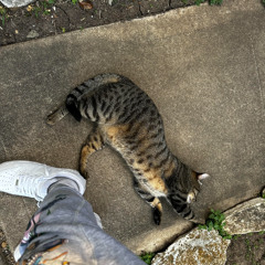 batman! (prod. 9fontana)