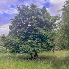 rotting away (feat. die4reese)