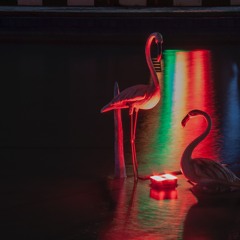 Flamingo (Cardi B type beat)  FREE