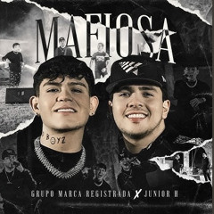 Grupo Marca Registrada & Junior H - Mafiosa (Concert Hall)