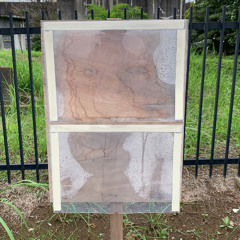 and I saw God and Poetry everywhere