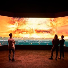 Connection - Entrance LED Excerpt 1