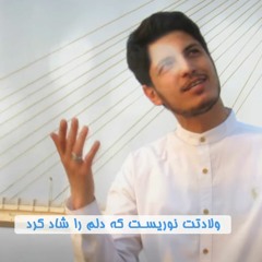 نور الرضا | حسن سلامات | ذكرى ولادة الإمام الرضا ع (عربي - فارسي)