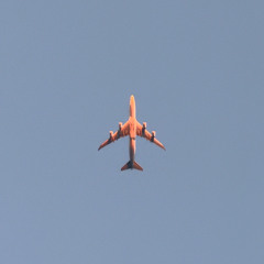 Night Jet