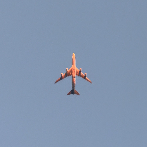 Night Jet