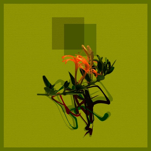 Premiere: Monomono - Jeanne [Teorema]