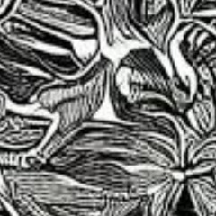 Roots