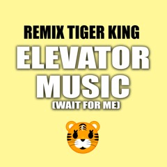 "ELEVATOR MUSIC" ( WAIT FOR ME ) Remix Tiger King | Hip Hop TikTok Rap Party Music