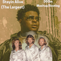 Stayin' Alive (The Largest) - The BeeGees x Big X tha Plug (D00bs Mashup/Bootleg)