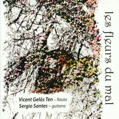 Sonata in E Minor BWV 1034: Adagio Ma Non Tanto