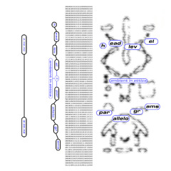 Esencia 097 - headlevel & parallelograms @ Ambient In Attica