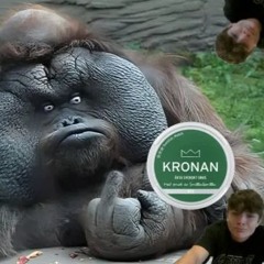 Smilla Din Fucking Gorilla