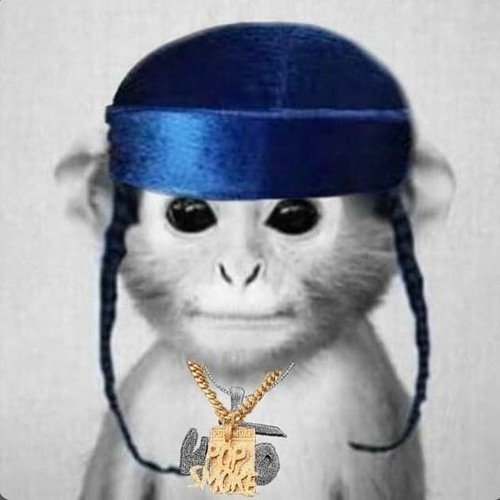 Stream Pop Smoke x Manu Chao King of the Bongo by Ray Listen online