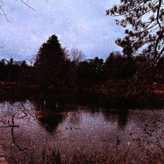 Love Drug Freestyle (w/ t3dblack) (prod. deadends)