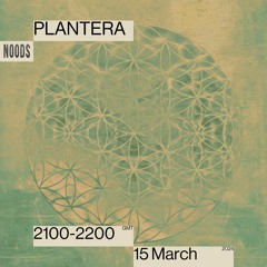 Noods Radio - Plantera 𖤓 Spring Equinox