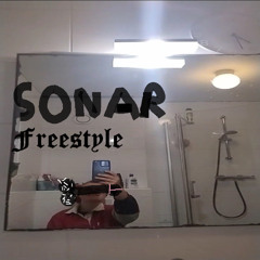 2strokes sonar freestyle archived