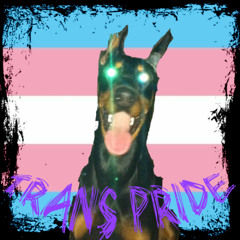 trans pride
