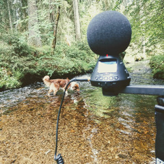 Vltava – A State of Recording (binaural mixdown, 1st chapter of 60min)