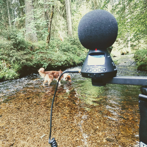 Vltava – A State of Recording (binaural mixdown, 1st chapter of 60min)