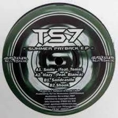 TS7 (Feat. Tonia) - Smile (Craig G Remix)