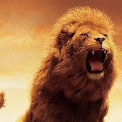يحاربوننا ولا يقدرون علينا - خدمة السماء على الأرض - مصر