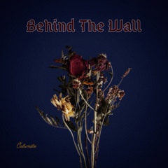 Behind The Wall