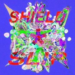 SHIELD SLIP